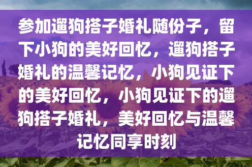 参加遛狗搭子婚礼随份子，留下小狗的美好回忆，遛狗搭子婚礼的温馨记忆，小狗见证下的美好回忆，小狗见证下的遛狗搭子婚礼，美好回忆与温馨记忆同享时刻