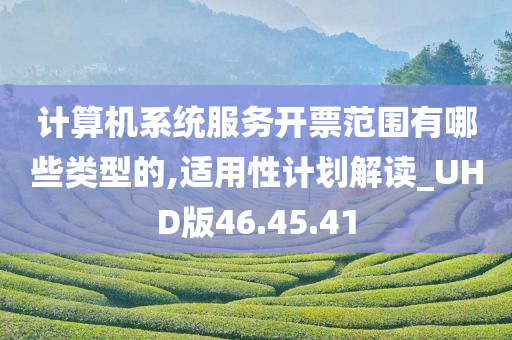 计算机系统服务开票范围有哪些类型的,适用性计划解读_UHD版46.45.41