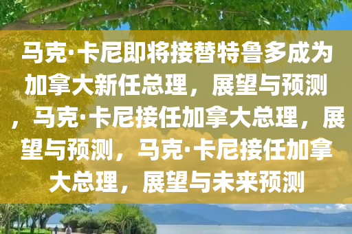 马克·卡尼即将接替特鲁多成为加拿大新任总理，展望与预测，马克·卡尼接任加拿大总理，展望与预测，马克·卡尼接任加拿大总理，展望与未来预测