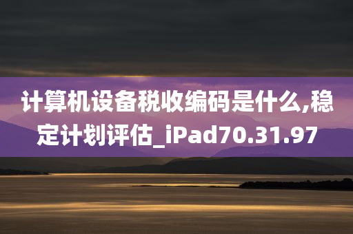 计算机设备税收编码是什么,稳定计划评估_iPad70.31.97