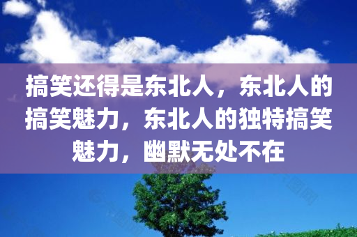 搞笑还得是东北人，东北人的搞笑魅力，东北人的独特搞笑魅力，幽默无处不在