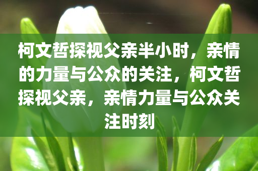 柯文哲探视父亲半小时，亲情的力量与公众的关注，柯文哲探视父亲，亲情力量与公众关注时刻