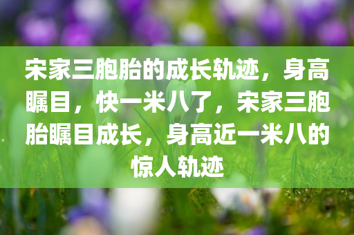 宋家三胞胎的成长轨迹，身高瞩目，快一米八了，宋家三胞胎瞩目成长，身高近一米八的惊人轨迹