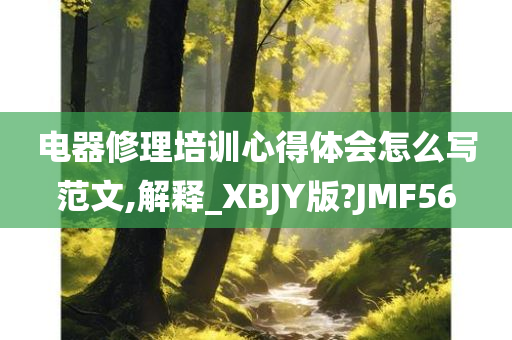 电器修理培训心得体会怎么写范文,解释_XBJY版?JMF56