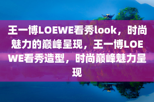 王一博LOEWE看秀look，时尚魅力的巅峰呈现，王一博LOEWE看秀造型，时尚巅峰魅力呈现