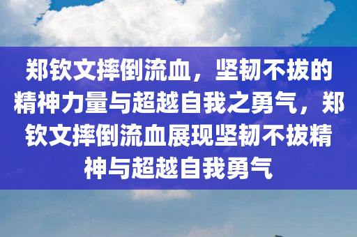 郑钦文摔倒流血，坚韧不拔的精神力量与超越自我之勇气，郑钦文摔倒流血展现坚韧不拔精神与超越自我勇气