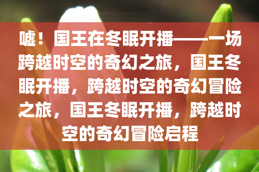 嘘！国王在冬眠开播——一场跨越时空的奇幻之旅，国王冬眠开播，跨越时空的奇幻冒险之旅，国王冬眠开播，跨越时空的奇幻冒险启程