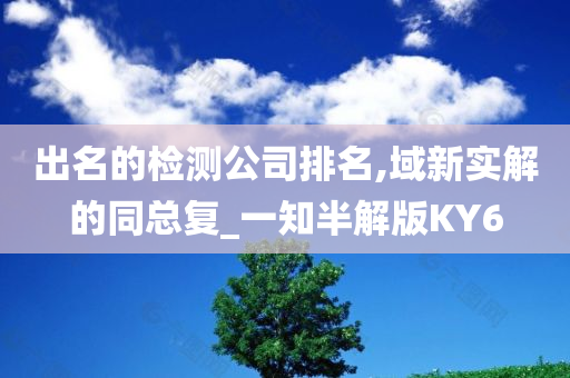 出名的检测公司排名,域新实解的同总复_一知半解版KY6