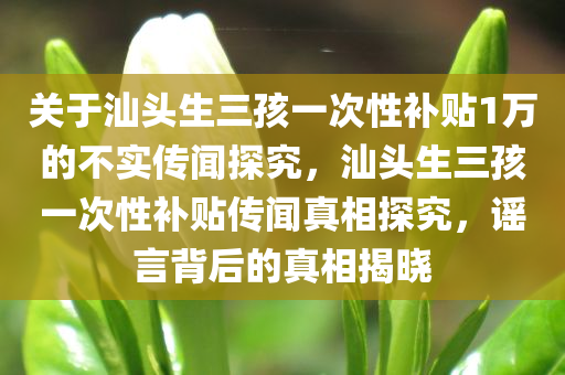 关于汕头生三孩一次性补贴1万的不实传闻探究，汕头生三孩一次性补贴传闻真相探究，谣言背后的真相揭晓