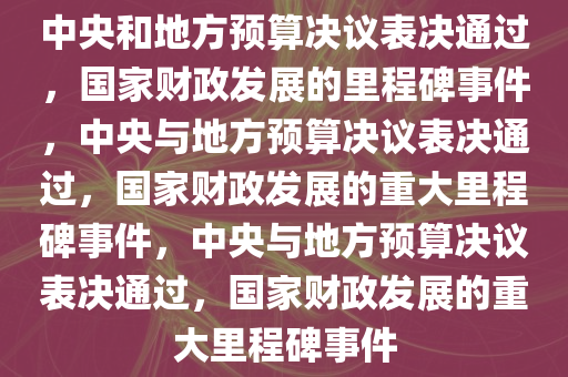 中央和地方预算决议表决通过，国家财政发展的里程碑事件，中央与地方预算决议表决通过，国家财政发展的重大里程碑事件，中央与地方预算决议表决通过，国家财政发展的重大里程碑事件