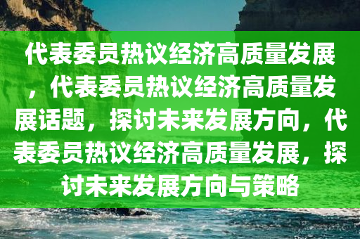 代表委员热议经济高质量发展，代表委员热议经济高质量发展话题，探讨未来发展方向，代表委员热议经济高质量发展，探讨未来发展方向与策略