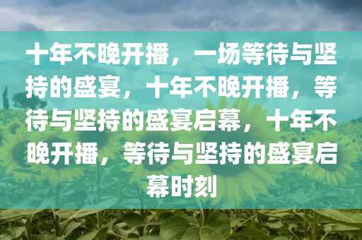 十年不晚开播，一场等待与坚持的盛宴，十年不晚开播，等待与坚持的盛宴启幕，十年不晚开播，等待与坚持的盛宴启幕时刻