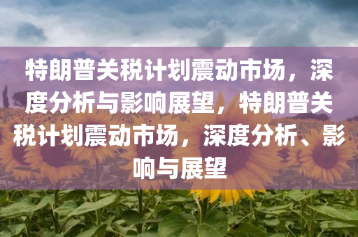 特朗普关税计划震动市场，深度分析与影响展望，特朗普关税计划震动市场，深度分析、影响与展望