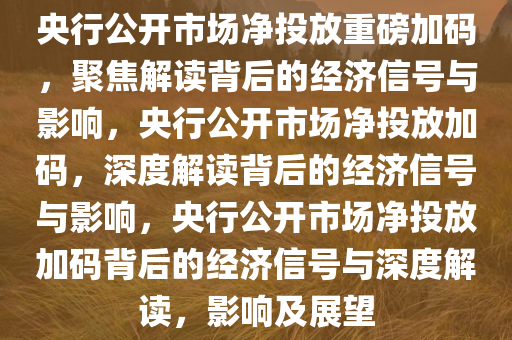 央行公开市场净投放重磅加码，聚焦解读背后的经济信号与影响，央行公开市场净投放加码，深度解读背后的经济信号与影响，央行公开市场净投放加码背后的经济信号与深度解读，影响及展望