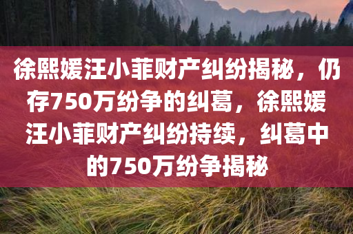 徐熙媛汪小菲财产纠纷揭秘，仍存750万纷争的纠葛，徐熙媛汪小菲财产纠纷持续，纠葛中的750万纷争揭秘