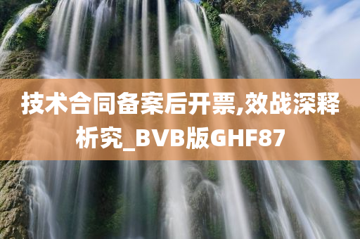 技术合同备案后开票,效战深释析究_BVB版GHF87