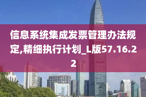 信息系统集成发票管理办法规定,精细执行计划_L版57.16.22