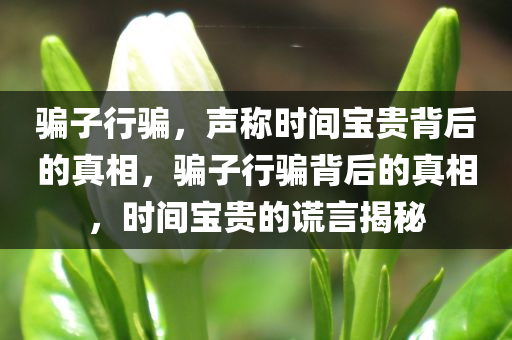 骗子行骗，声称时间宝贵背后的真相，骗子行骗背后的真相，时间宝贵的谎言揭秘