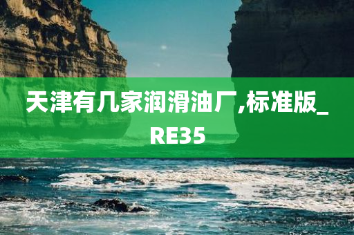 天津有几家润滑油厂,标准版_RE35