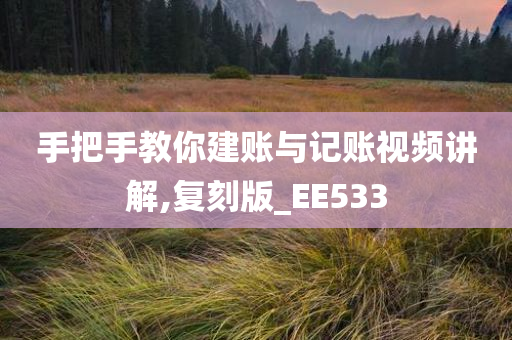 手把手教你建账与记账视频讲解,复刻版_EE533