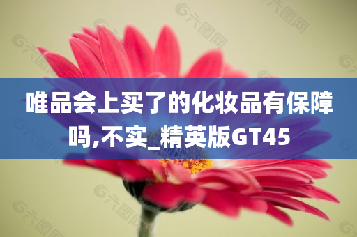 唯品会上买了的化妆品有保障吗,不实_精英版GT45