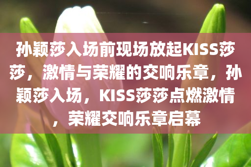 孙颖莎入场前现场放起KISS莎莎，激情与荣耀的交响乐章，孙颖莎入场，KISS莎莎点燃激情，荣耀交响乐章启幕