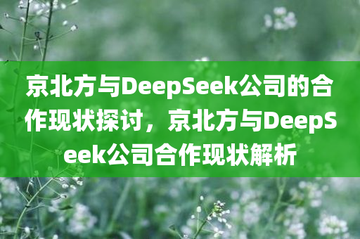 京北方与DeepSeek公司的合作现状探讨，京北方与DeepSeek公司合作现状解析