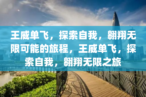 王威单飞，探索自我，翱翔无限可能的旅程，王威单飞，探索自我，翱翔无限之旅