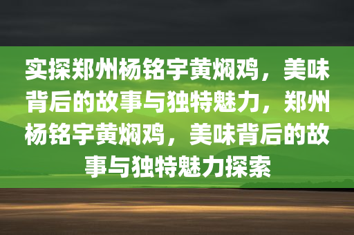 实探郑州杨铭宇黄焖鸡，美味背后的故事与独特魅力，郑州杨铭宇黄焖鸡，美味背后的故事与独特魅力探索