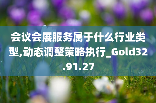 会议会展服务属于什么行业类型,动态调整策略执行_Gold32.91.27