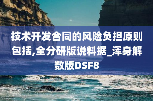 技术开发合同的风险负担原则包括,全分研版说料据_浑身解数版DSF8