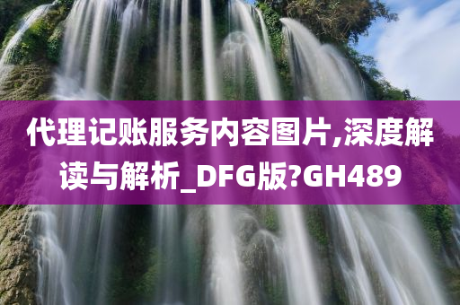 代理记账服务内容图片,深度解读与解析_DFG版?GH489