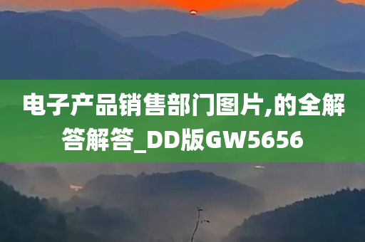 电子产品销售部门图片,的全解答解答_DD版GW5656