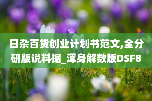 日杂百货创业计划书范文,全分研版说料据_浑身解数版DSF8