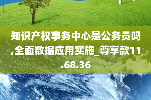 知识产权事务中心是公务员吗,全面数据应用实施_尊享款11.68.36