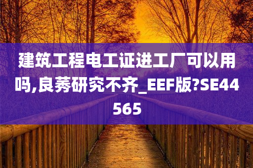 建筑工程电工证进工厂可以用吗,良莠研究不齐_EEF版?SE44565