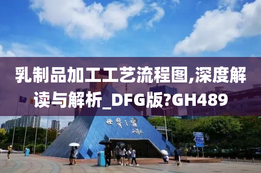 乳制品加工工艺流程图,深度解读与解析_DFG版?GH489