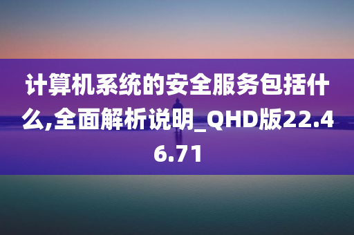 计算机系统的安全服务包括什么,全面解析说明_QHD版22.46.71