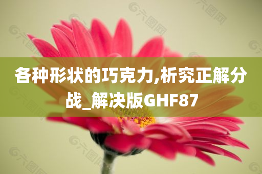 各种形状的巧克力,析究正解分战_解决版GHF87