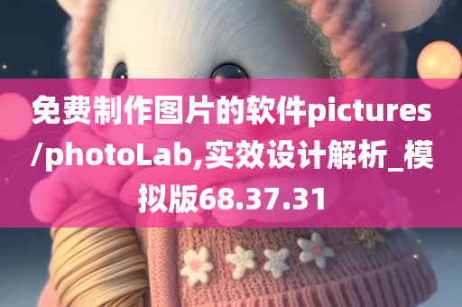 免费制作图片的软件pictures/photoLab,实效设计解析_模拟版68.37.31