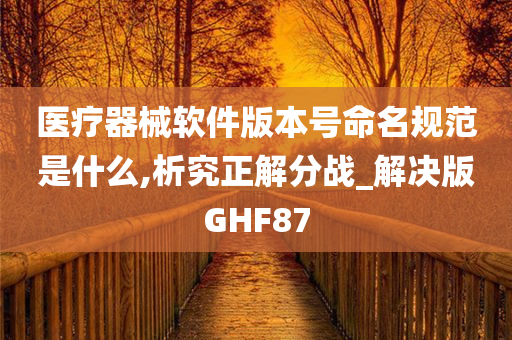 医疗器械软件版本号命名规范是什么,析究正解分战_解决版GHF87