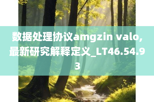 数据处理协议amgzin valo,最新研究解释定义_LT46.54.93