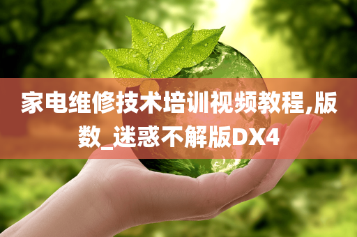 家电维修技术培训视频教程,版数_迷惑不解版DX4