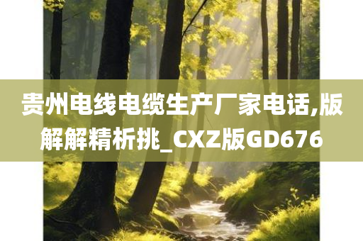 贵州电线电缆生产厂家电话,版解解精析挑_CXZ版GD676