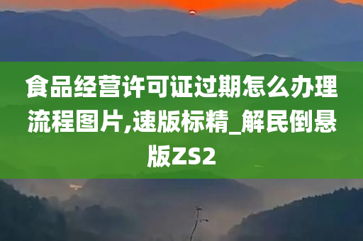 食品经营许可证过期怎么办理流程图片,速版标精_解民倒悬版ZS2