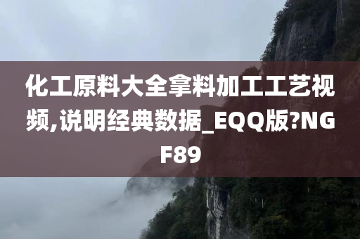 化工原料大全拿料加工工艺视频,说明经典数据_EQQ版?NGF89