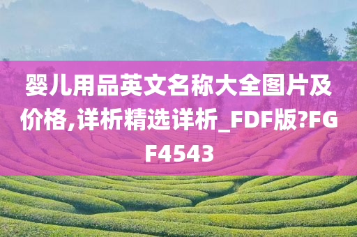 婴儿用品英文名称大全图片及价格,详析精选详析_FDF版?FGF4543