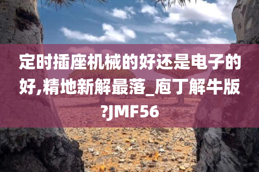 定时插座机械的好还是电子的好,精地新解最落_庖丁解牛版?JMF56