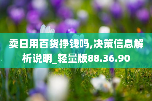 卖日用百货挣钱吗,决策信息解析说明_轻量版88.36.90