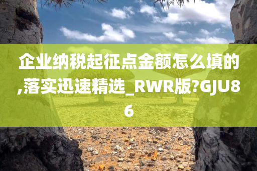 企业纳税起征点金额怎么填的,落实迅速精选_RWR版?GJU86